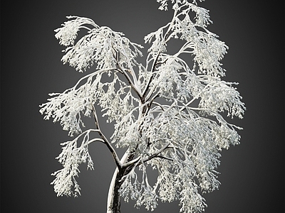 冰雪树 积雪树 冬季树