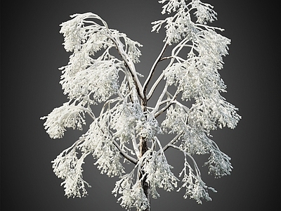 冰雪树 积雪树 冬季树