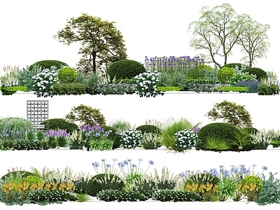 灌木 花镜 花园 组团 地被 花卉