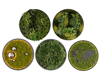 植物墙 植物 盆景