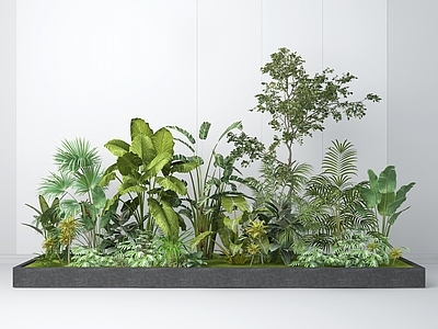 现代植物堆 绿植堆 灌木 绿化带 植物 绿植
