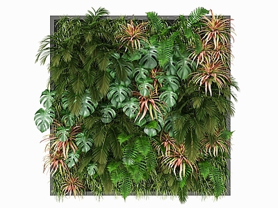 现代绿植墙