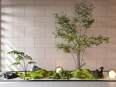 现代景观造景 植物 苔藓 月球灯 树