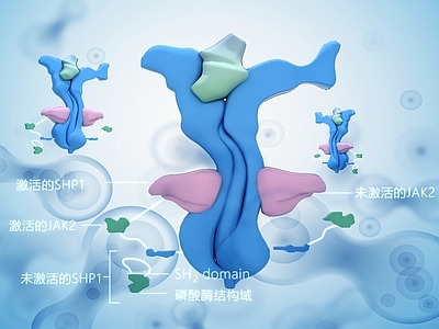 细胞 神经 神经元 神经胶质细胞 神经系统 DNA