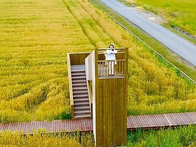 稻田观景台