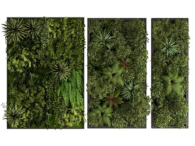 植物墙