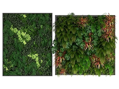 植物墙 绿植