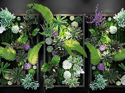 现代绿植墙