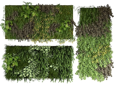 现代绿植墙 植物墙