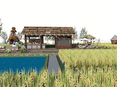 稻田驿站 乡村网红稻田 美丽乡村稻田 乡村稻田公园 稻田营地