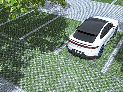 停车场 路面草地 保时捷 枫树 跑车