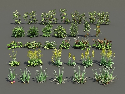 现代农作物组合 花草组合 大葱 油菜花 草莓 辣椒 小柿子