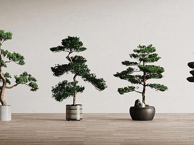绿植盆栽