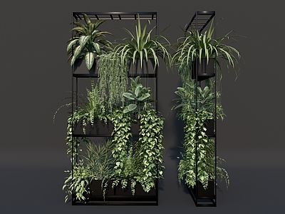 现代植物架 绿植隔断 办公区隔断 垂挂绿植 花箱绿植 蕨类植物