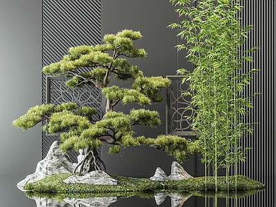 植物小景