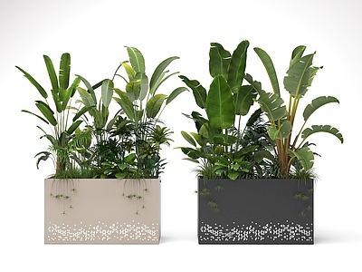 现代花箱 盆景 植物 植物组合
