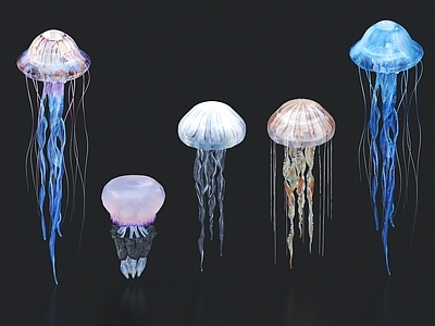 水母 发光水母 海洋生物