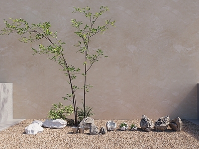 乔木 植物