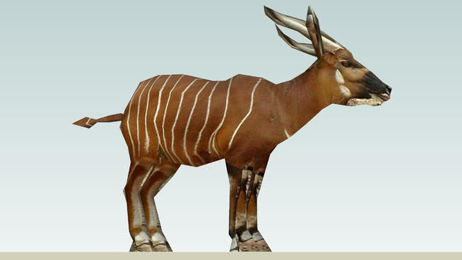 Bongo (adult) photo textured 狷羚 动物 栗色马 山羊 马