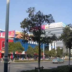 外景