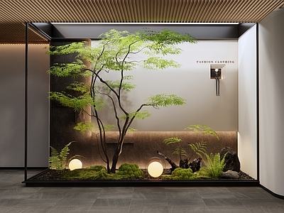 现代景观造景 室内植物造景 小品 植物堆 蕨类植物 苔藓 石头