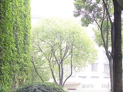 白天街道外景