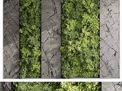 绿植背景墙