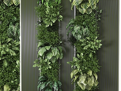 植物墙 绿植墙