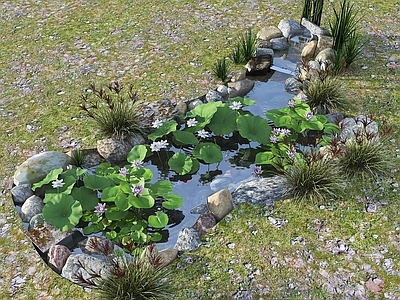 现代生态鱼池 水池 荷花池 观赏锦鲤池 水池景观 自然石块 溪流石块