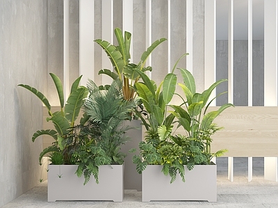 现代花箱 盆景 植物 绿植 灌木 植物组合