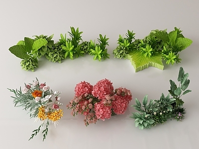现代灌木 花丛灌木 花簇 灌木丛