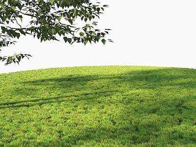 野草地 现代草皮 野外草皮 杂草 草坪