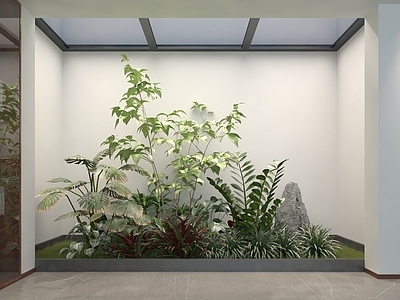 植物堆 植物组团 植物组合 室内造景