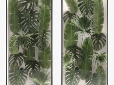 现代植物箱 墙 植物墙