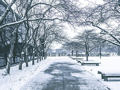 国外街道雪景
