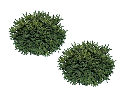 2D灌木 花草