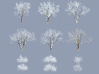 乔木 雪树 冬天树