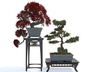 新中式风格盆栽 盆景 花卉 松树 摆件 树