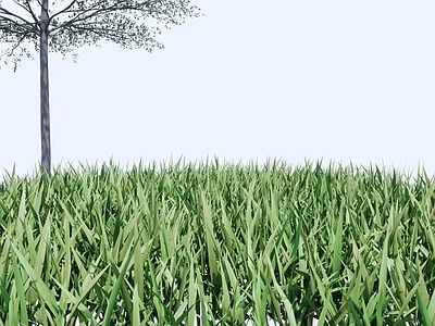 植物组合 树 草地