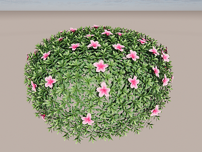 杜鹃花球 3d灌木球