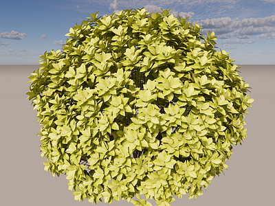 黄金榕球 3d灌木球