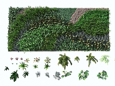 植物墙 墙植物墙 植物景墙 绿篱墙