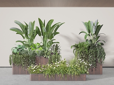 现代绿植花箱 室内植物造景 植物组合 植物堆 花池
