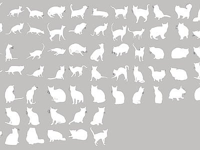 猫咪图库