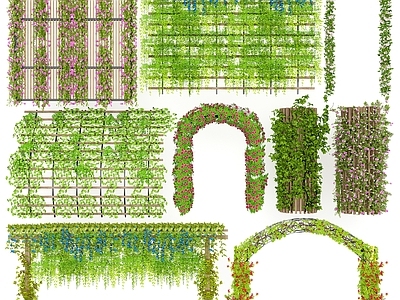 拱形花架 花型廊架 植物花拱门 植物拱门 植物廊架