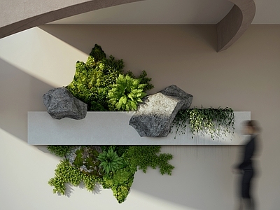 植物墙 植物造景