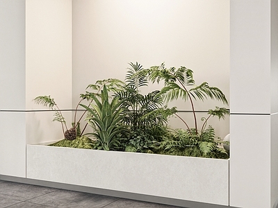 植物堆 造景 室内 小品 植物造景