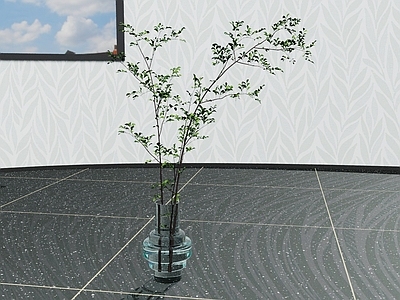 现代绿植盆栽