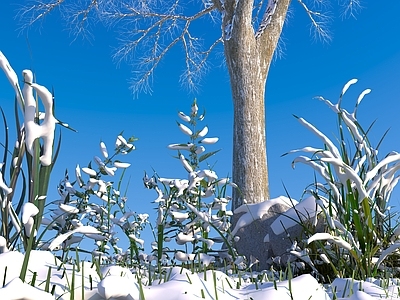 雪 植物草