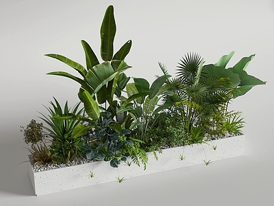 现代植物花箱